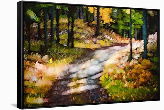 October Walk-Ursula Abresch-Framed Stretched Canvas