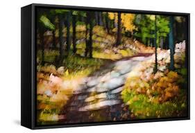 October Walk-Ursula Abresch-Framed Stretched Canvas