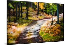 October Walk-Ursula Abresch-Mounted Photographic Print