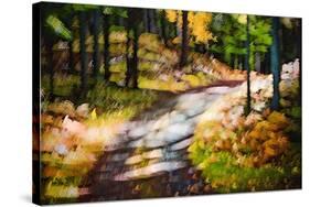 October Walk-Ursula Abresch-Stretched Canvas