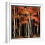 October Woods-Julia Purinton-Framed Art Print