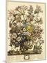 October-Robert Furber-Mounted Giclee Print