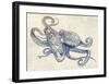 Octoflow-Rachel Caldwell-Framed Art Print