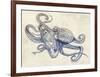 Octoflow-Rachel Caldwell-Framed Art Print