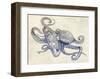 Octoflow-Rachel Caldwell-Framed Art Print