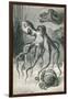 Octopi and Crab, 1833-Science Source-Framed Giclee Print
