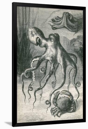 Octopi and Crab, 1833-Science Source-Framed Giclee Print