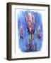 Octopi Family-Ric Stultz-Framed Giclee Print