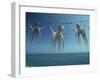 Octopi Hung Out to Dry, Nerja, Costa Del Sol, Andalucia, Spain, Europe-Robert Francis-Framed Photographic Print