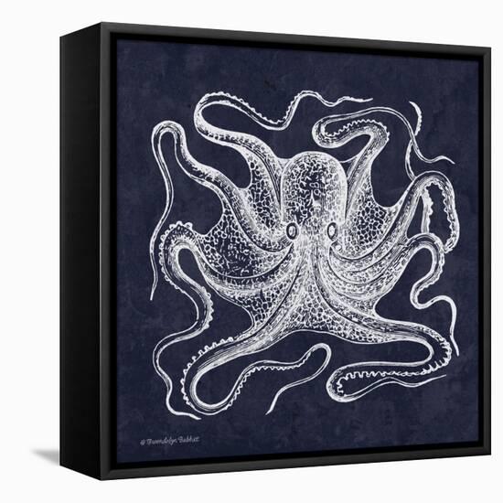 Octopi I-Gwendolyn Babbitt-Framed Stretched Canvas