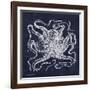 Octopi I-Gwendolyn Babbitt-Framed Art Print