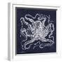 Octopi I-Gwendolyn Babbitt-Framed Premium Giclee Print