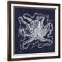 Octopi I-Gwendolyn Babbitt-Framed Art Print