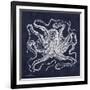 Octopi I-Gwendolyn Babbitt-Framed Art Print