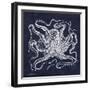 Octopi I-Gwendolyn Babbitt-Framed Art Print