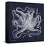 Octopi I-Gwendolyn Babbitt-Framed Stretched Canvas