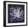 Octopi I-Gwendolyn Babbitt-Framed Art Print