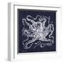 Octopi I-Gwendolyn Babbitt-Framed Art Print