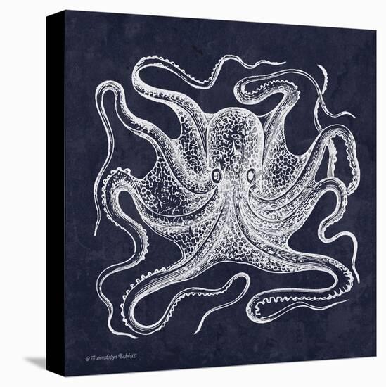 Octopi I-Gwendolyn Babbitt-Stretched Canvas