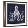 Octopi II-Gwendolyn Babbitt-Framed Art Print