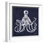 Octopi II-Gwendolyn Babbitt-Framed Art Print