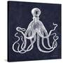 Octopi II-Gwendolyn Babbitt-Stretched Canvas