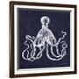 Octopi II-Gwendolyn Babbitt-Framed Art Print