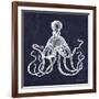 Octopi II-Gwendolyn Babbitt-Framed Art Print