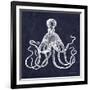 Octopi II-Gwendolyn Babbitt-Framed Art Print