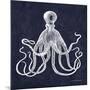 Octopi II-Gwendolyn Babbitt-Mounted Art Print