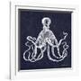 Octopi II-Gwendolyn Babbitt-Framed Art Print