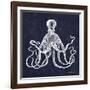 Octopi II-Gwendolyn Babbitt-Framed Art Print