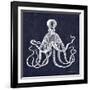 Octopi II-Gwendolyn Babbitt-Framed Art Print