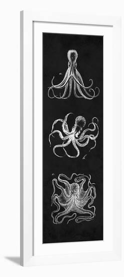 Octopi Study-N. Harbick-Framed Premium Giclee Print