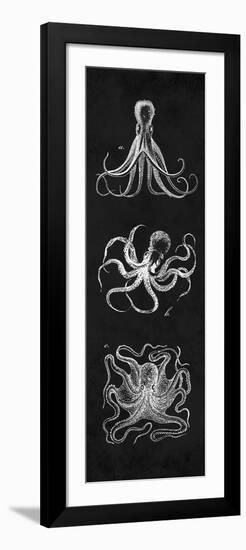 Octopi Study-N. Harbick-Framed Premium Giclee Print