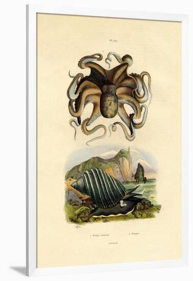 Octopus, 1833-39-null-Framed Giclee Print