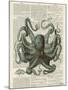 Octopus 1-Tina Carlson-Mounted Art Print