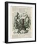 Octopus 1-Tina Carlson-Framed Art Print