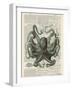 Octopus 1-Tina Carlson-Framed Art Print
