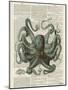 Octopus 1-Tina Carlson-Mounted Art Print