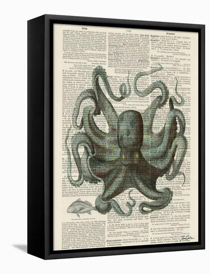 Octopus 1-Tina Carlson-Framed Stretched Canvas