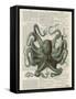 Octopus 1-Tina Carlson-Framed Stretched Canvas