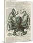 Octopus 1-Tina Carlson-Mounted Art Print