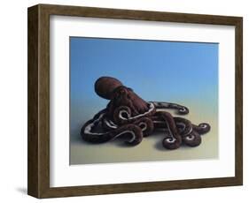 Octopus, 2016,-Peter Jones-Framed Giclee Print