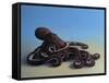 Octopus, 2016,-Peter Jones-Framed Stretched Canvas
