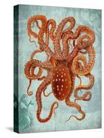 Octopus 2-Fab Funky-Stretched Canvas
