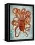 Octopus 2-Fab Funky-Framed Stretched Canvas