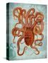 Octopus 2-Fab Funky-Stretched Canvas