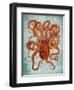 Octopus 2-Fab Funky-Framed Art Print