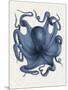 Octopus 5-Fab Funky-Mounted Premium Giclee Print